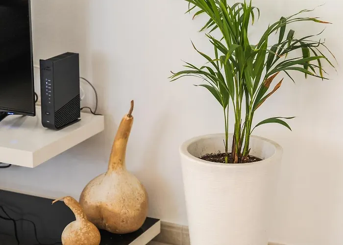 Elegant & Two Bedroom Flat לרנקה