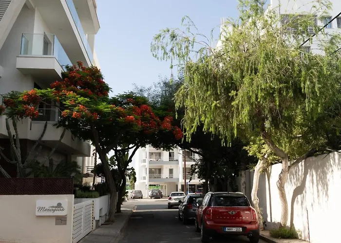 Elegant & Two Bedroom Flat * לרנקה